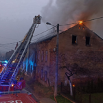 Poznaliśmy ceny do sosnowieckiego Egzotarium. Otwarcie już 2 grudnia